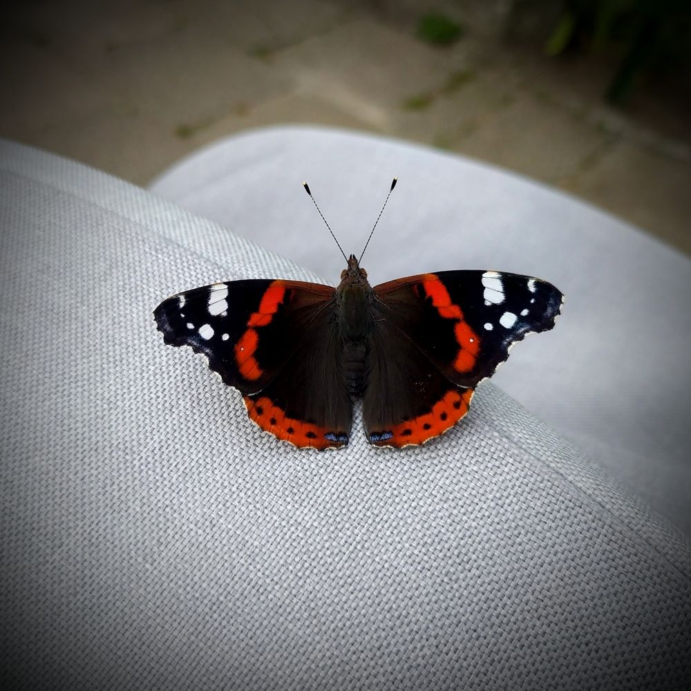 Photograph by Ирина Половцева