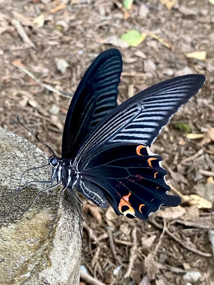 Фотография автора Бакалова Ирина