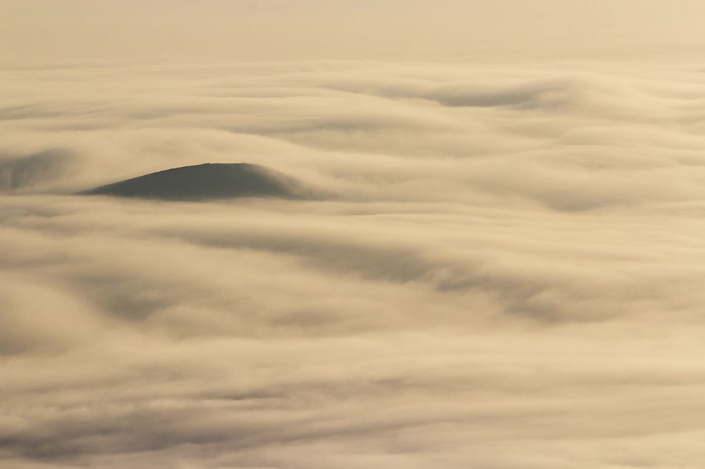 Island of Lost Souls...