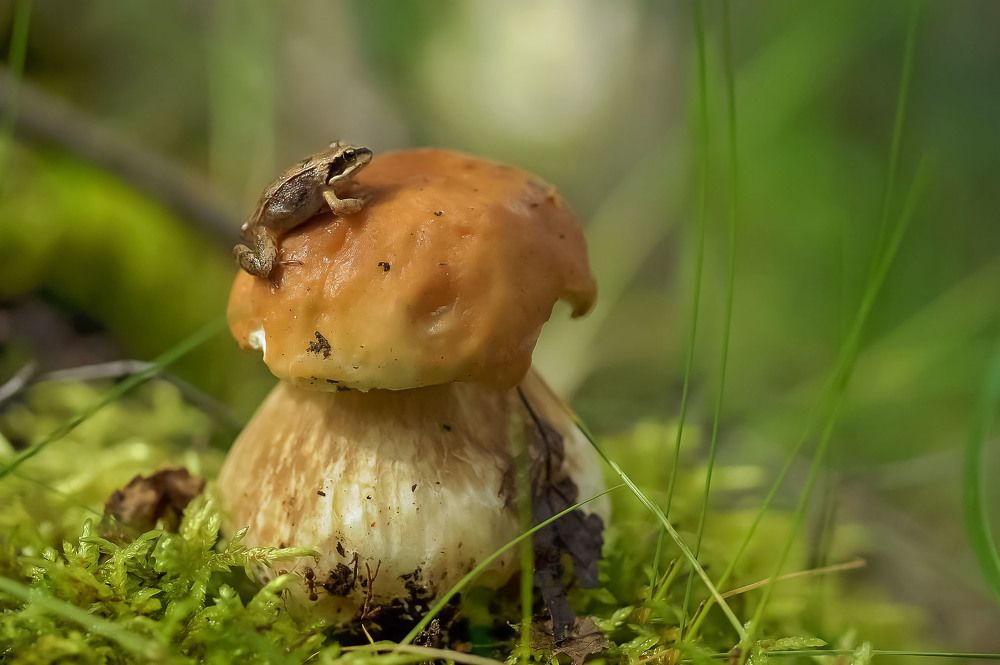 Фотография автора Галина