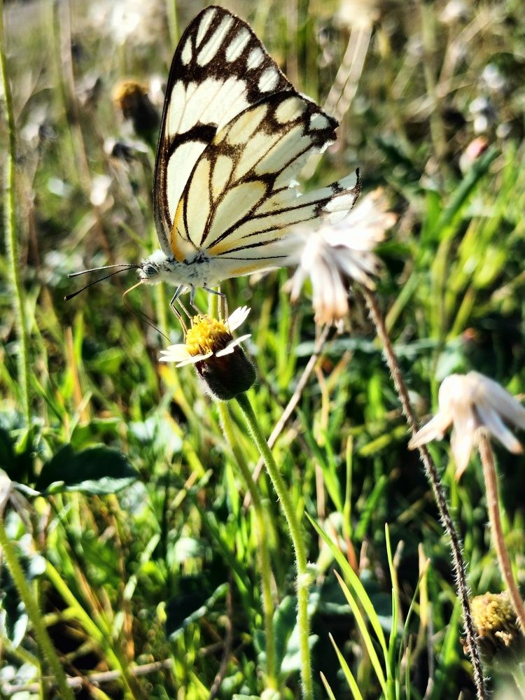 Photograph by Praveen