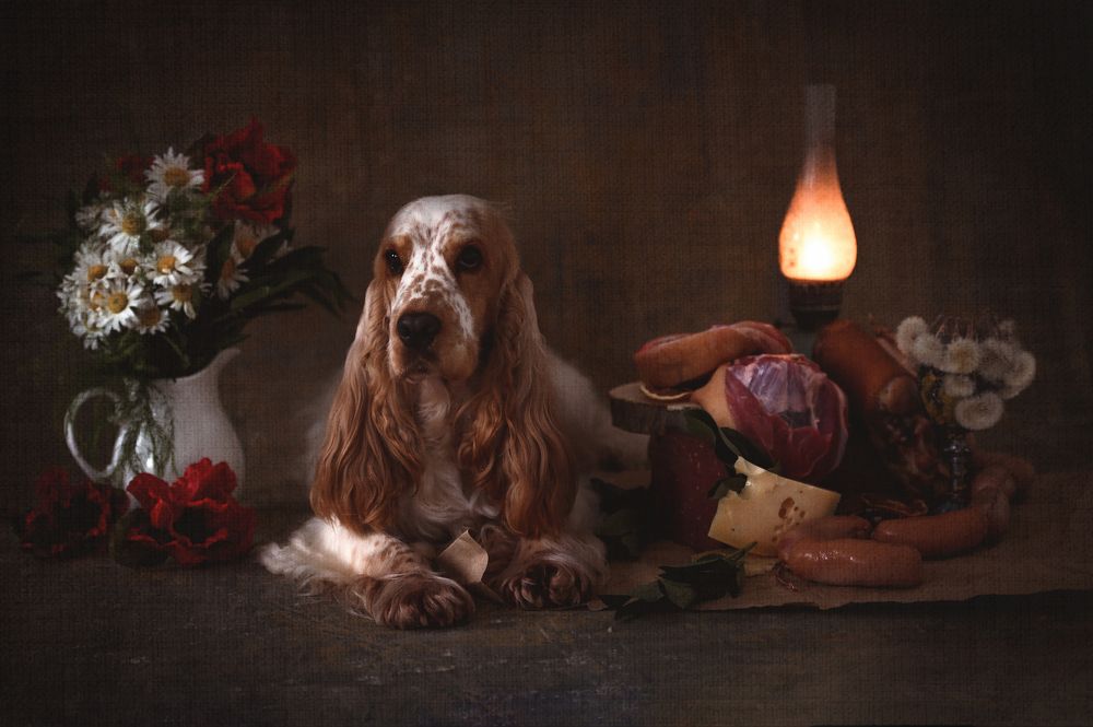 Photograph by Елена Савченкова