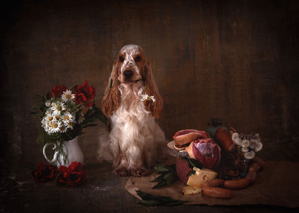 Photograph by Елена Савченкова