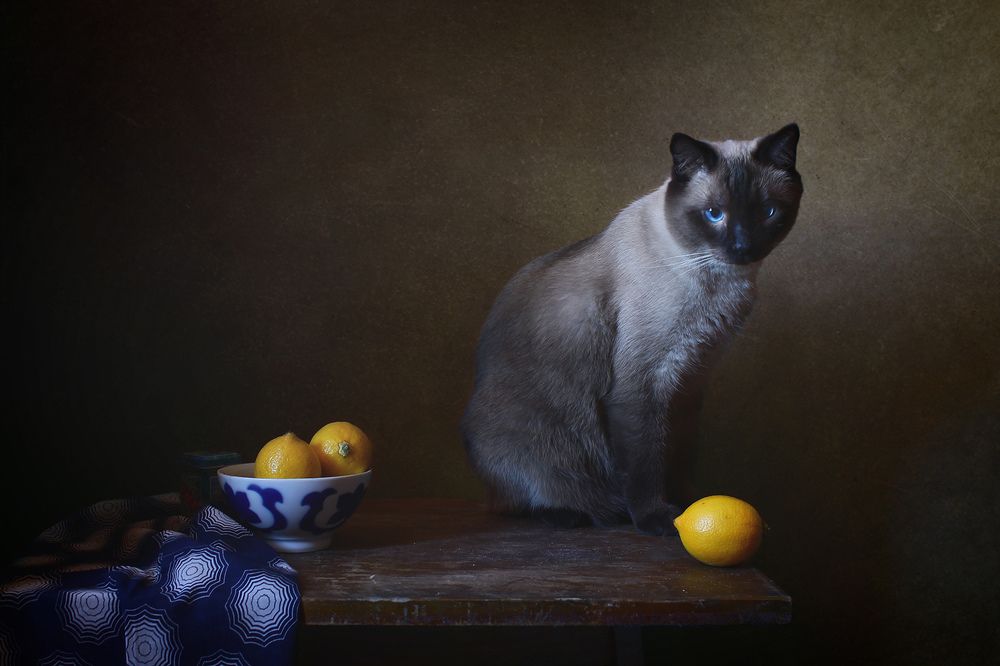 Photograph by Курочкина Диана