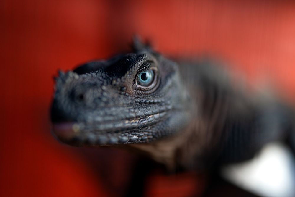 Photograph by EELIN Chan