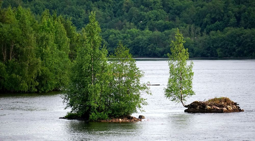 Photograph by АНДРЕЙ ОБРЯДОВ