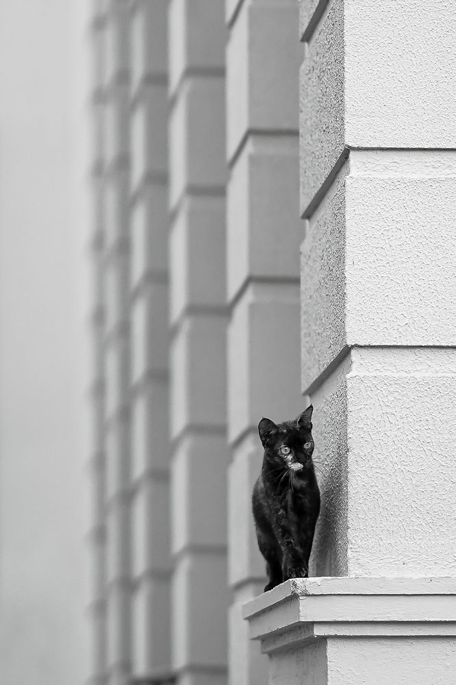 Photograph by Abhimanyu sailesh