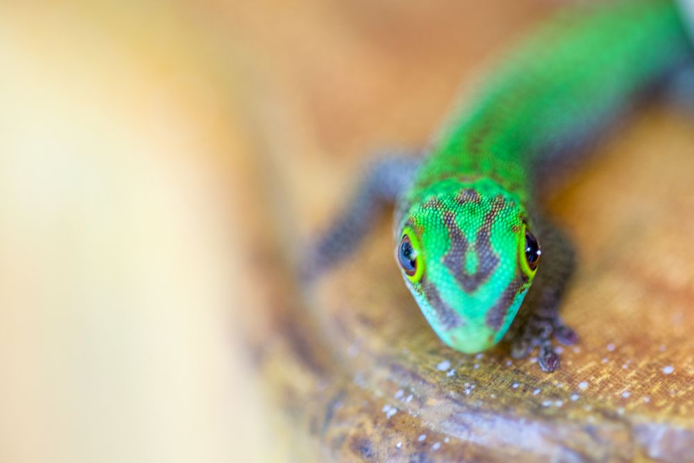 Photograph by EELIN Chan