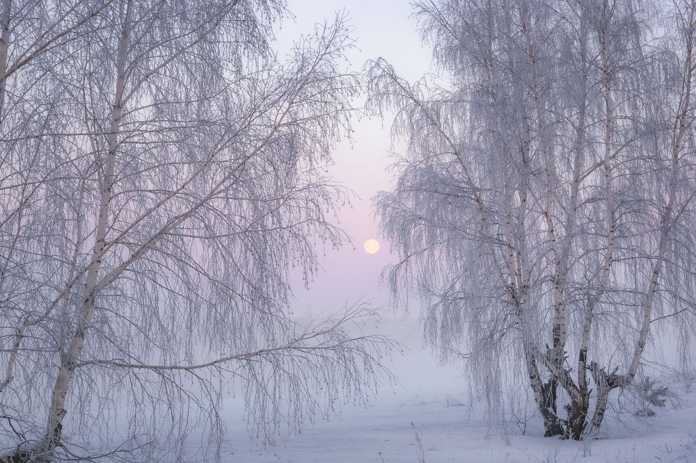 Фотография автора Александр Рудный