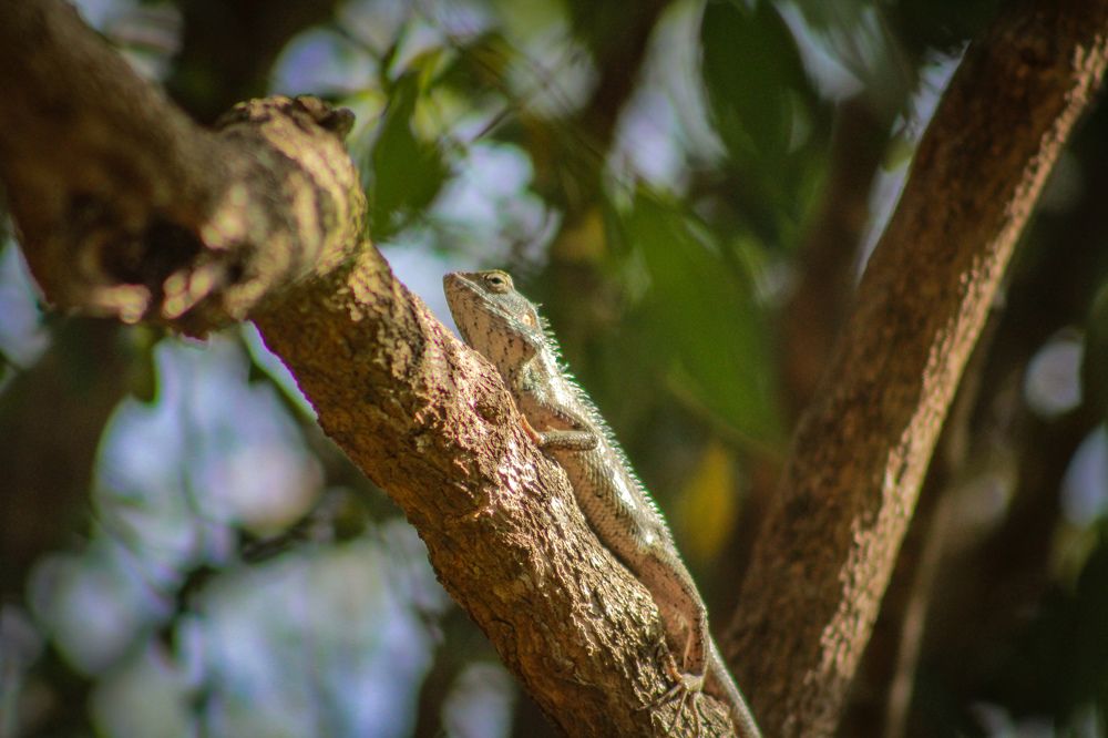 Photograph by Abdullah Tariq