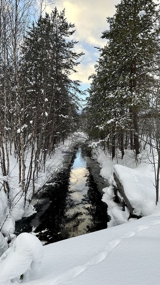 Photograph by Юлия Казимирова