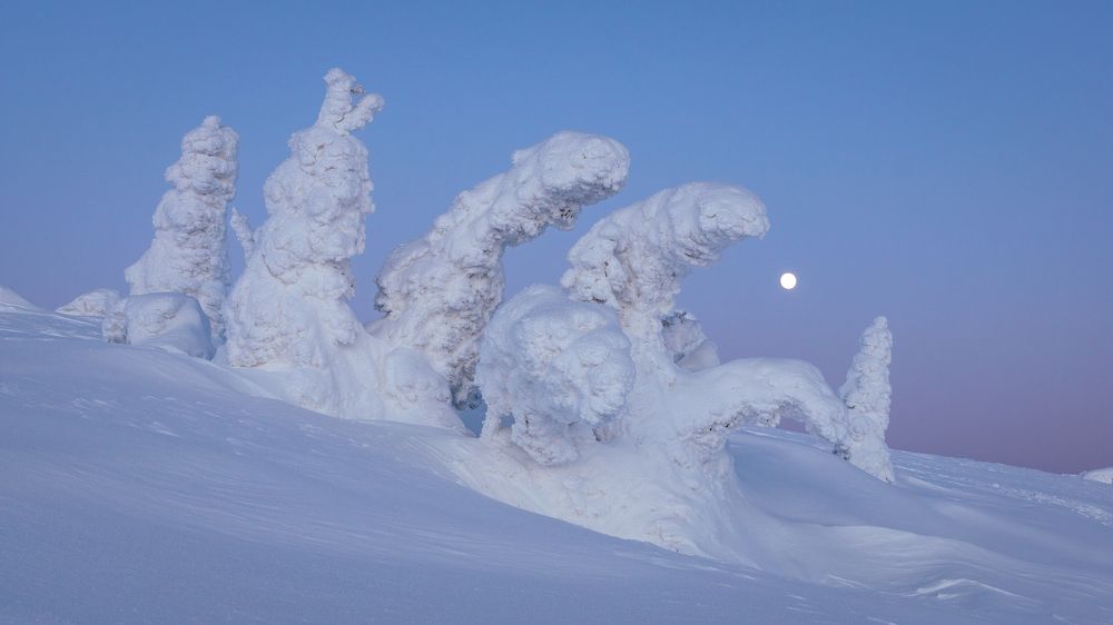 Фотография автора Александр Рудный