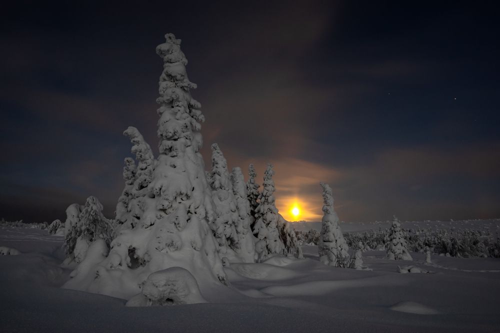 Фотография автора Александр Рудный