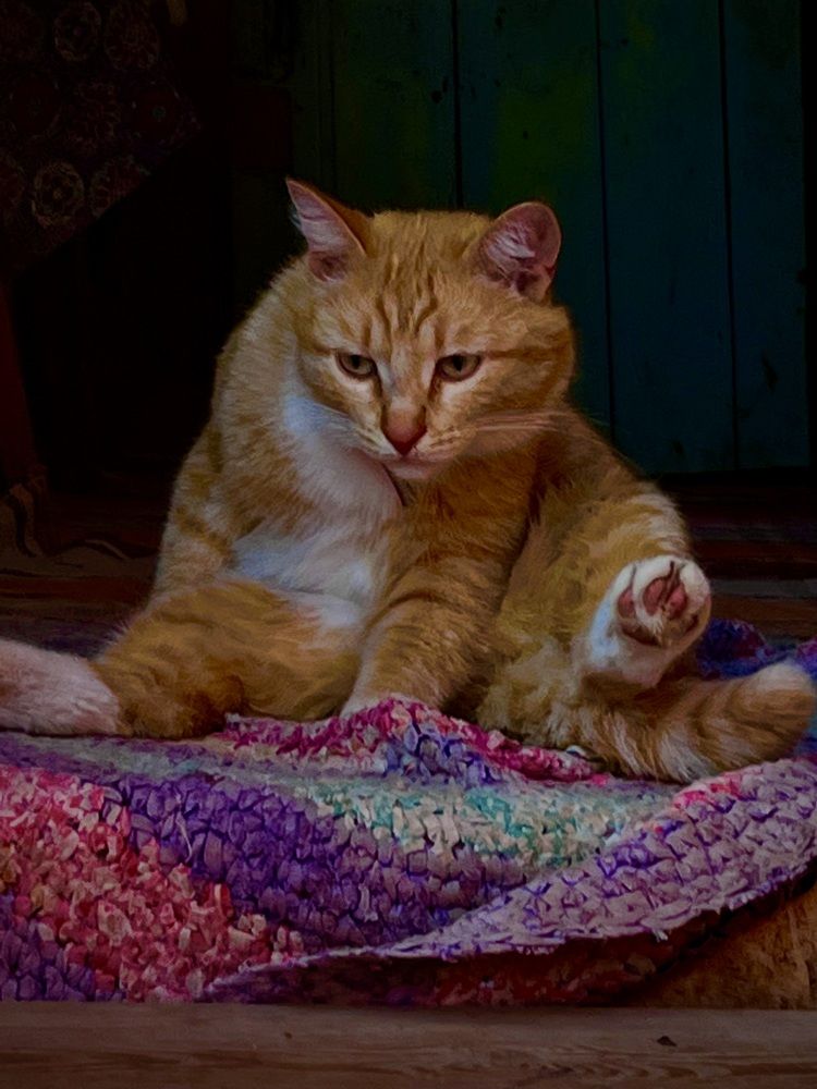 Photograph by Настя