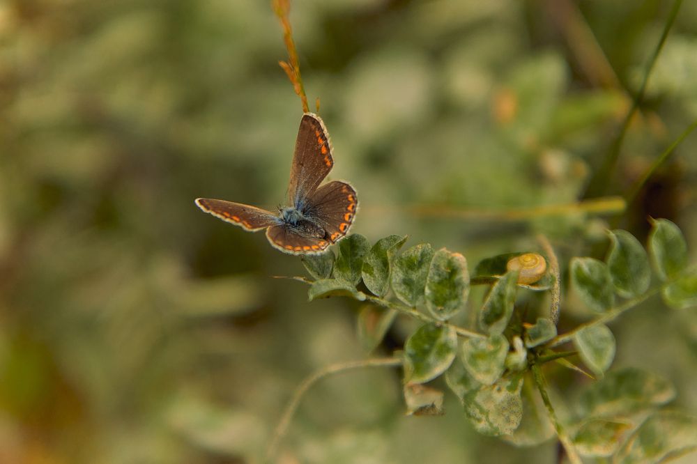 Photograph by Максим Желнинский