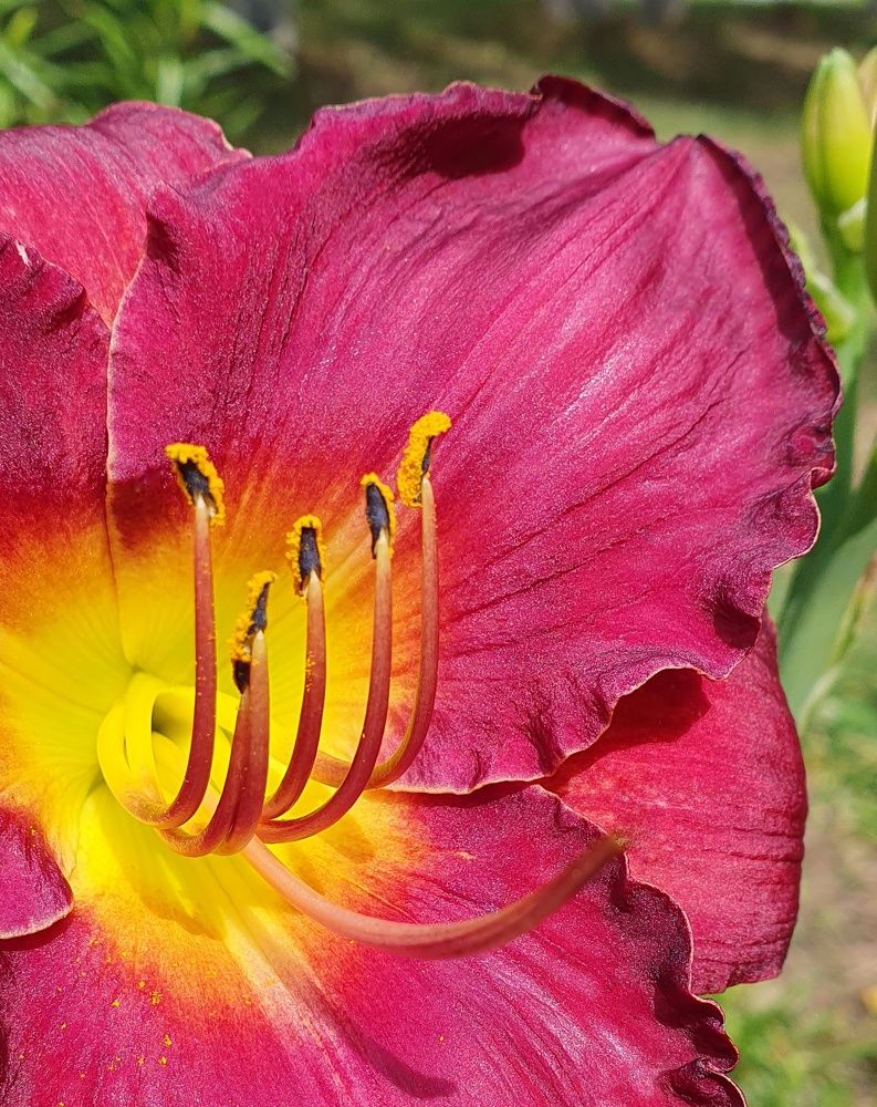 Photograph by Татьяна Мельникова