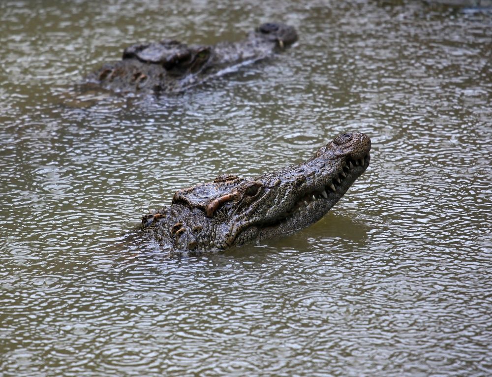 Photograph by ANDREY PERESHEIN
