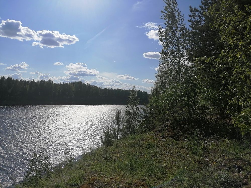 Photo #9293784