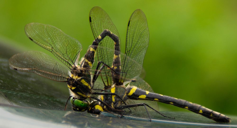 Photograph by Дубровин Николай