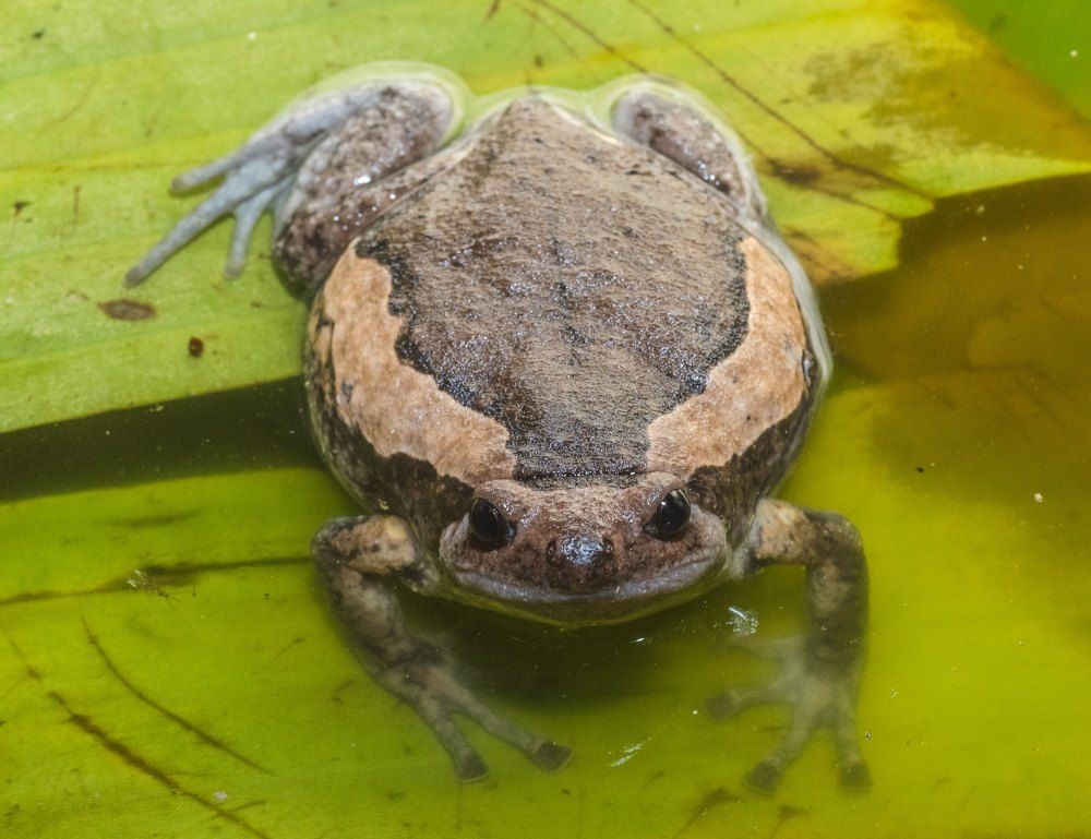 Photograph by Ranjith Kumar