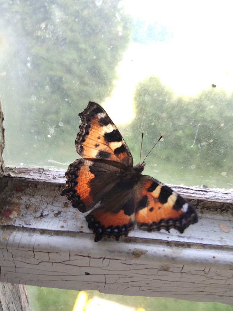 Photograph by Вера Тихомирова