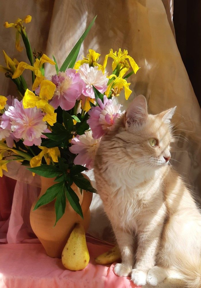 Photograph by Ольга Хромова