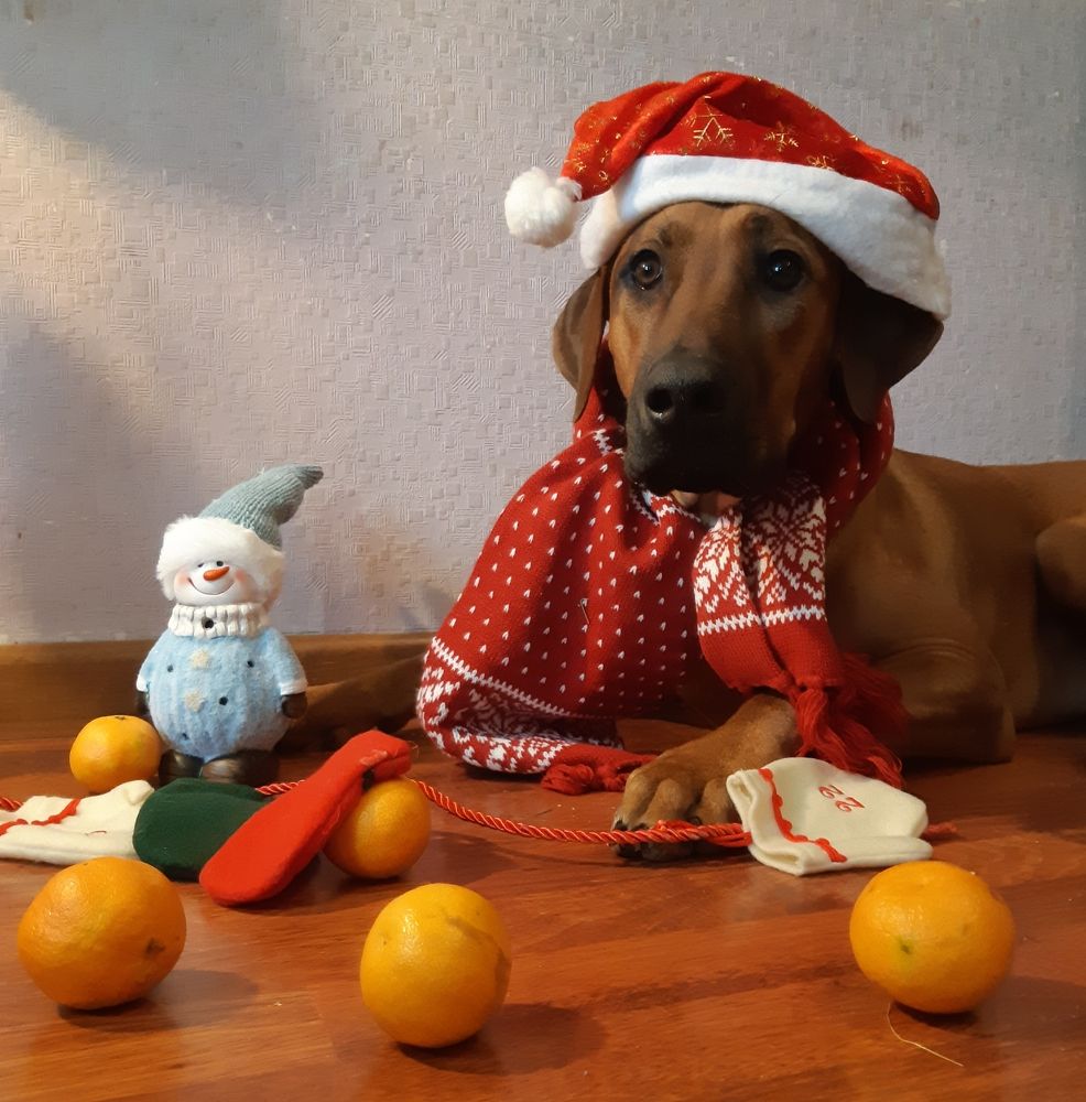 Photograph by Ольга Хромова