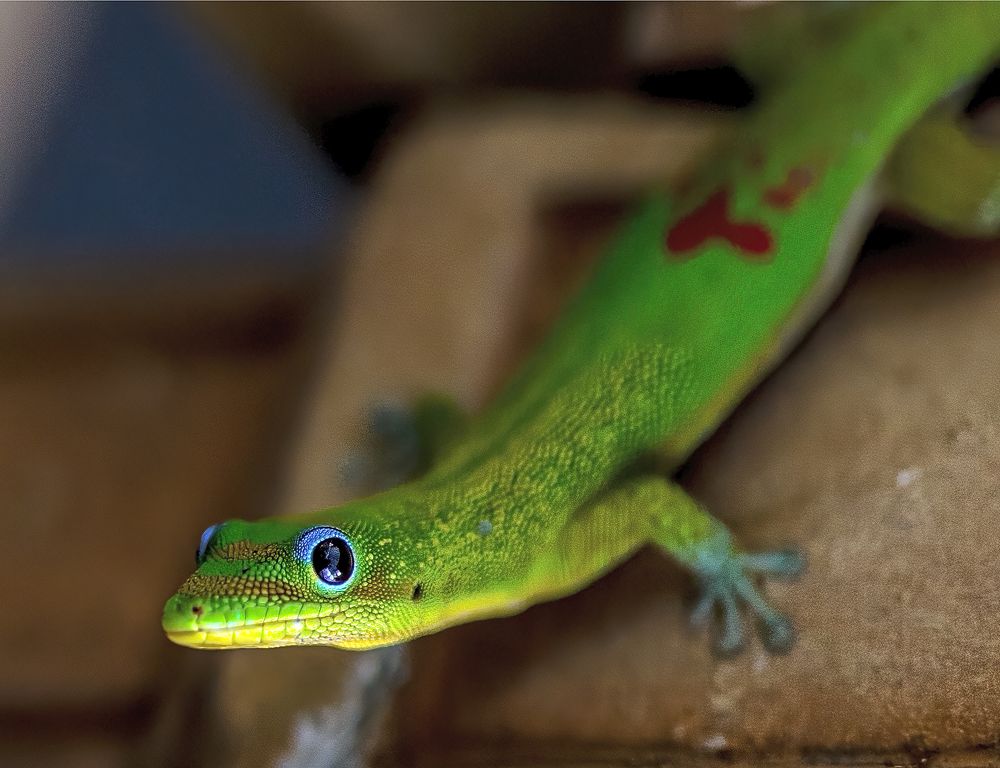 Фотография автора gagarin andrey