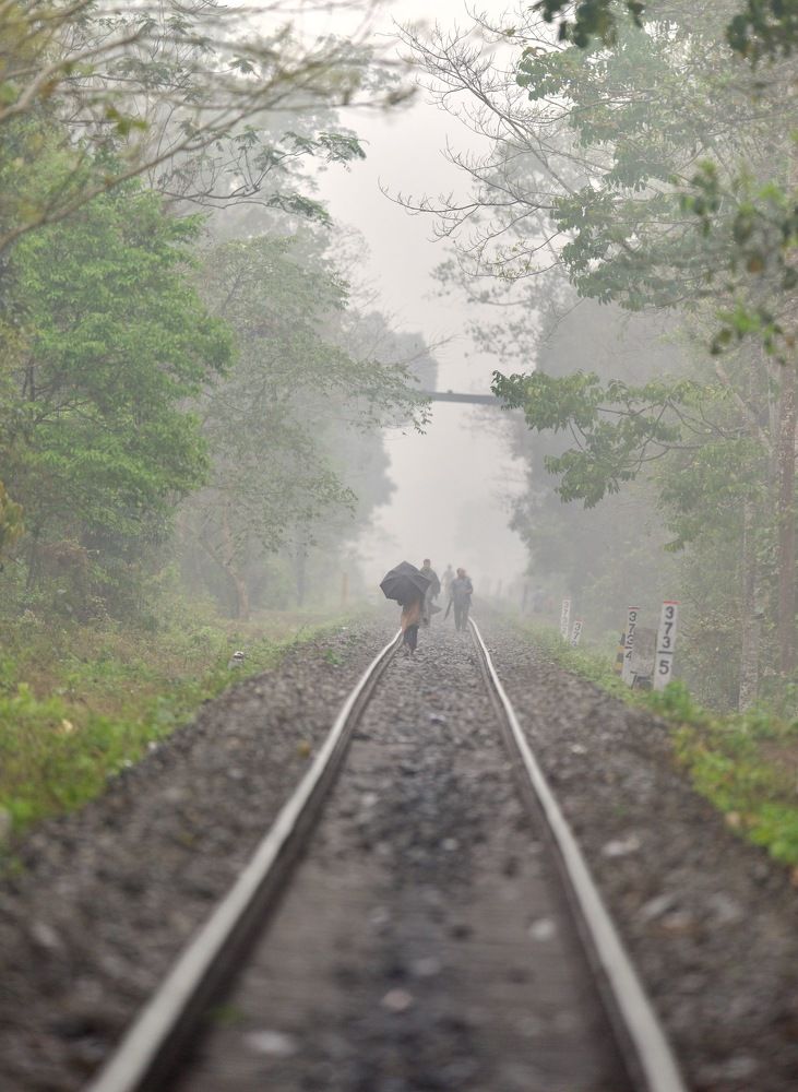Photograph by Ranjith Kumar