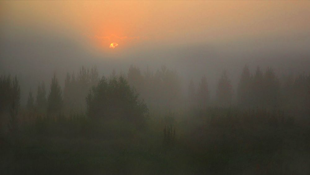 Photograph by Виктор Смирнов