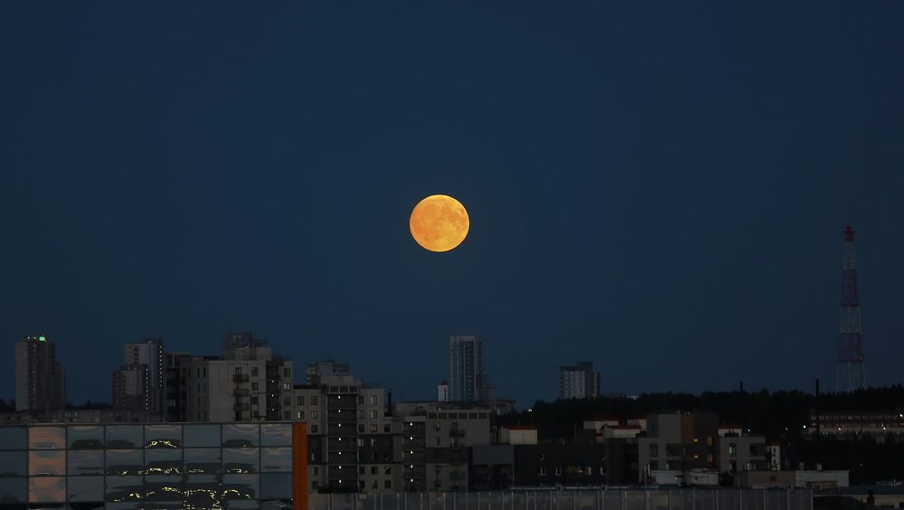 Photograph by Дмитрий Петухов