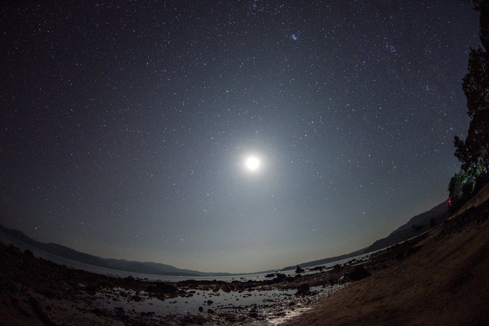 Photograph by Ranjith Kumar