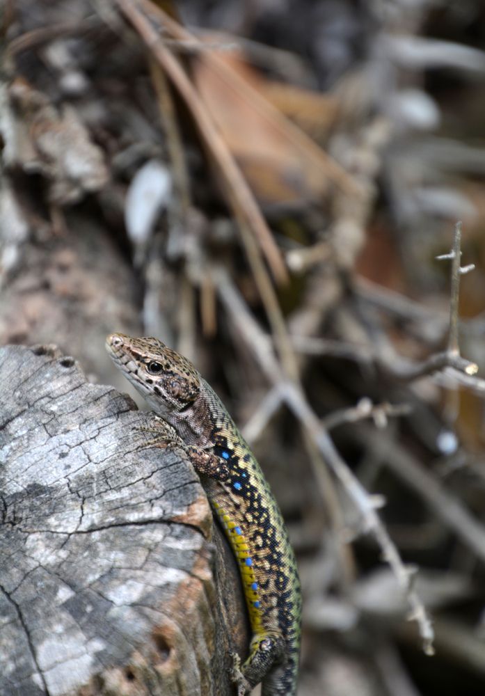 Photograph by Екатерина Крючкова