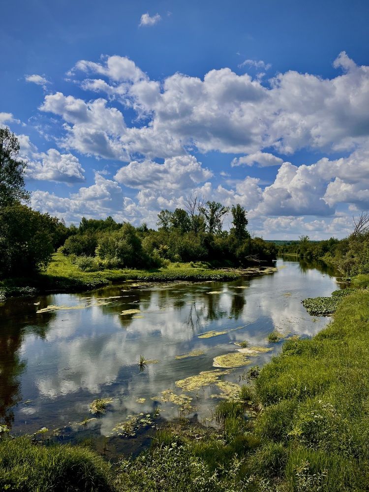 Photograph by Настя