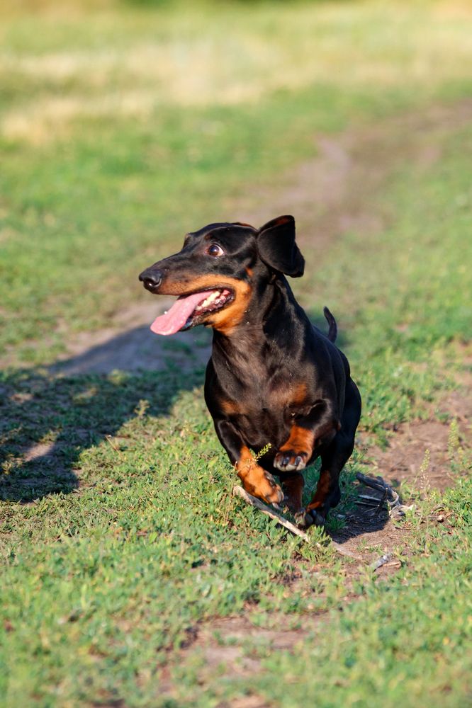 Photograph by Дмитрий Тимин