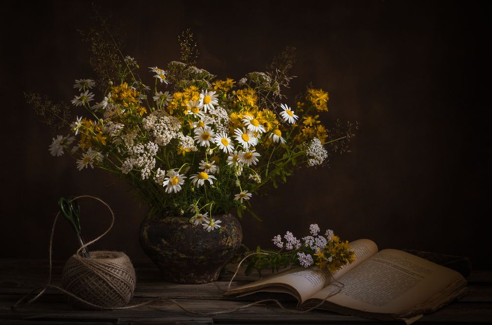 Photograph by Хвойнова Елена