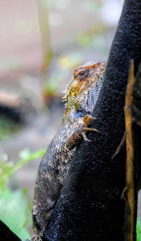 Photograph by Shalabh Srivastava