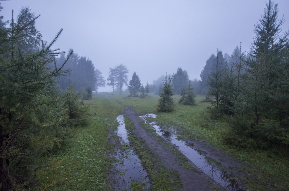 Photograph by Игорь Грашин