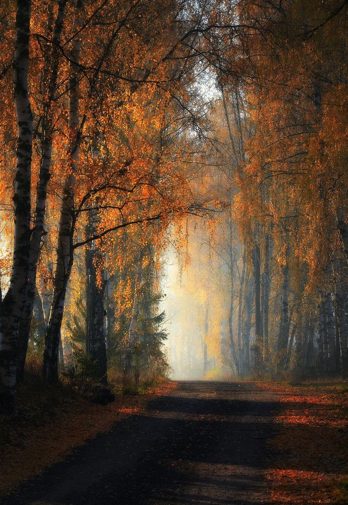 Photograph by Сергей Алексеев