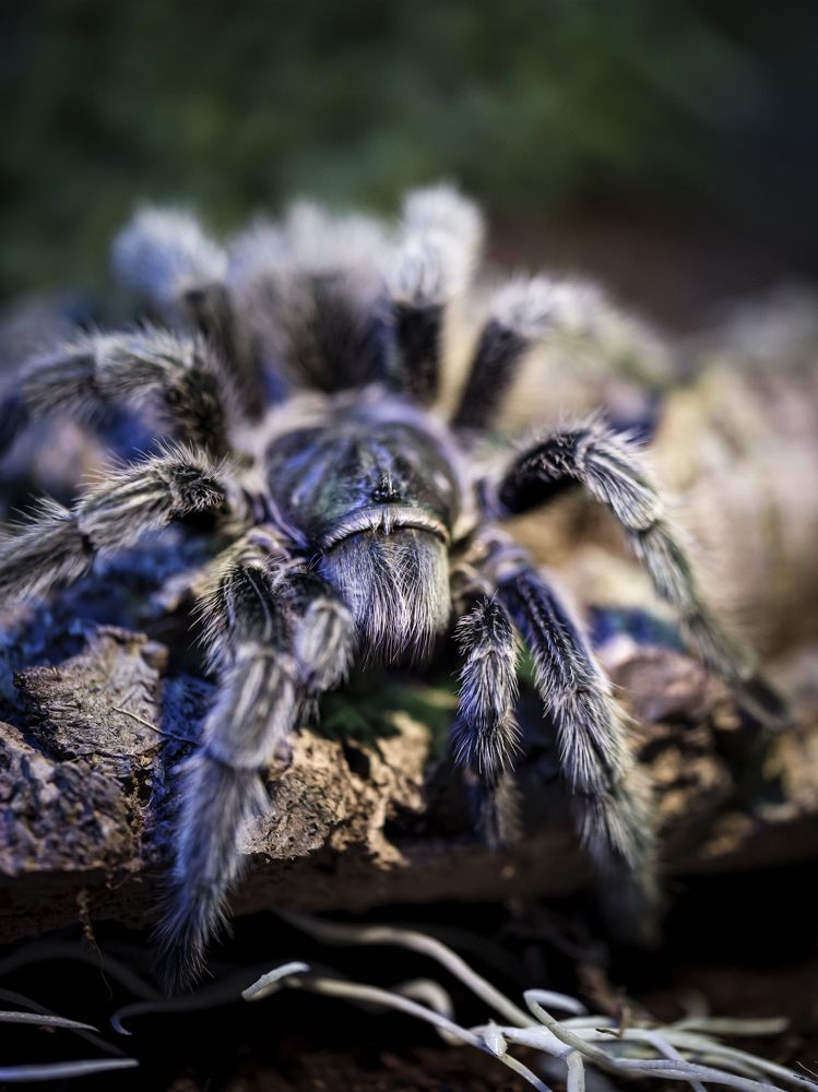 Photograph by Алексей Петров