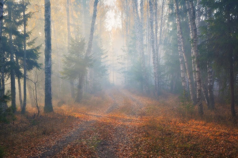 Photograph by Сергей Алексеев