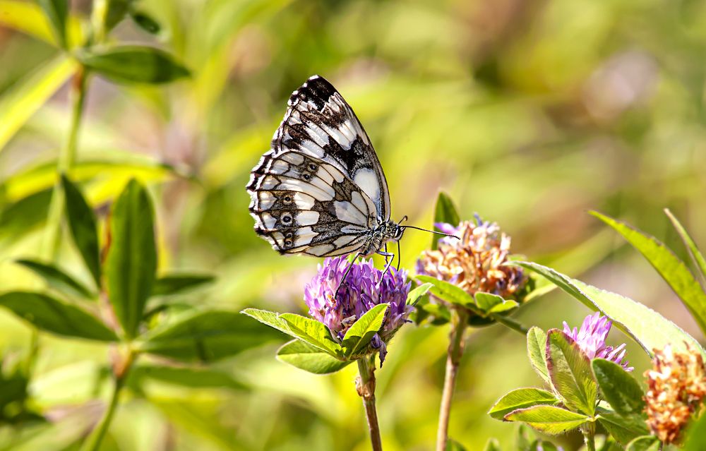 Photograph by Виталий Слёзка