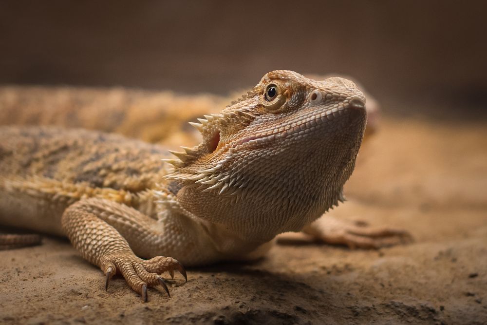 Photograph by Bruno Ribeiro