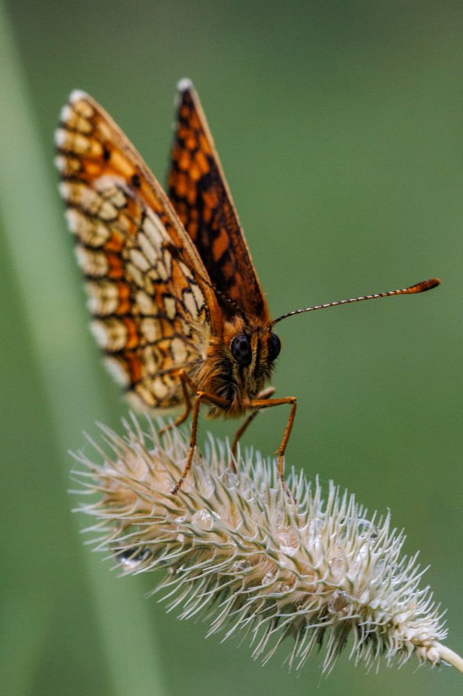 Photograph by Екатерина Овсянникова