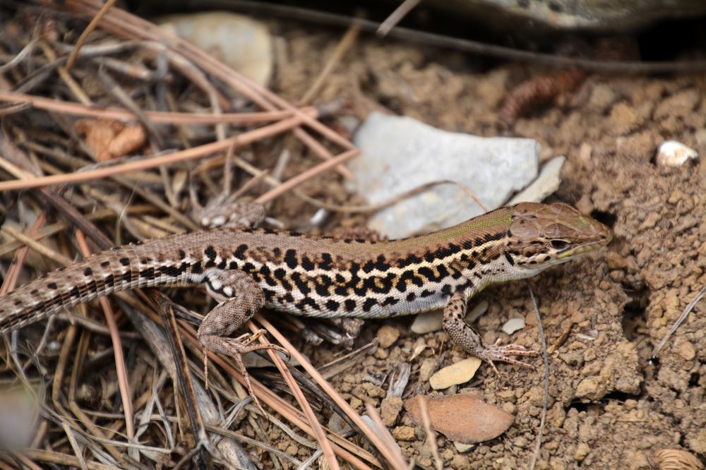 Photograph by Екатерина Крючкова