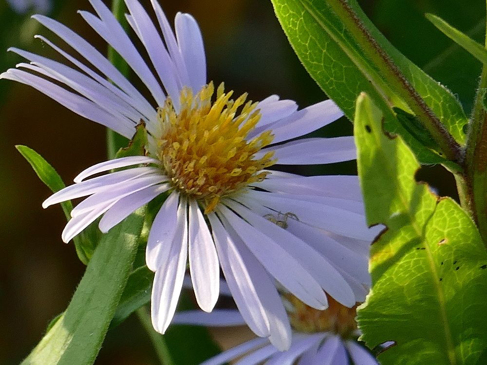 Photograph by Александр Кизим