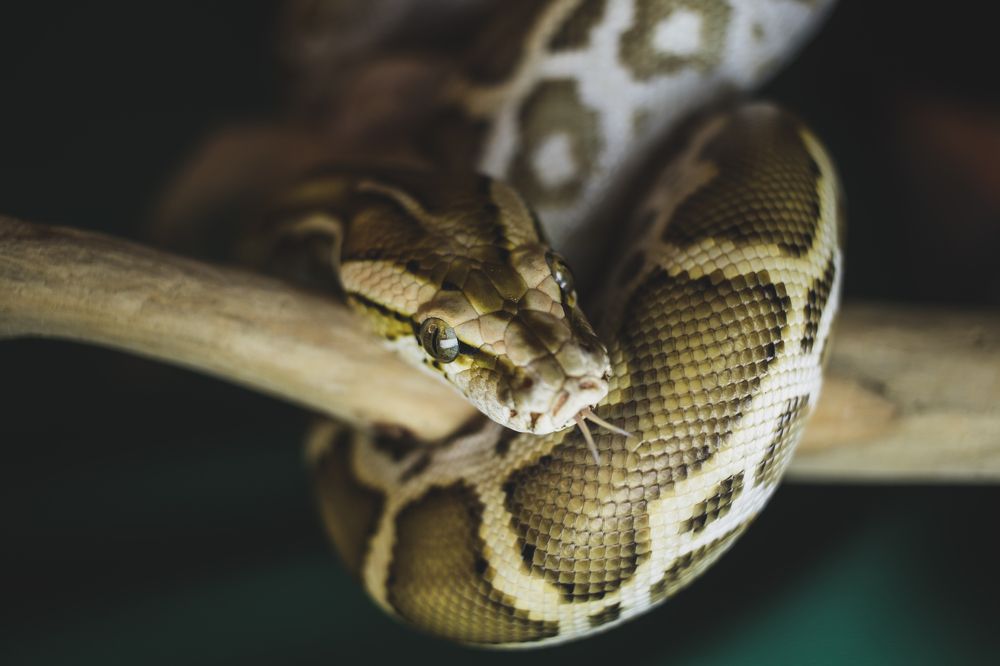 Photograph by Анна Вербилова