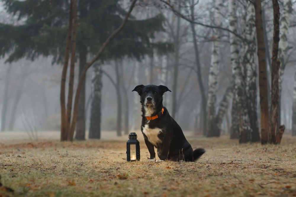 Photograph by Анна Вербилова