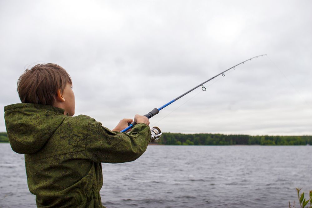 Photograph by Александр Середа