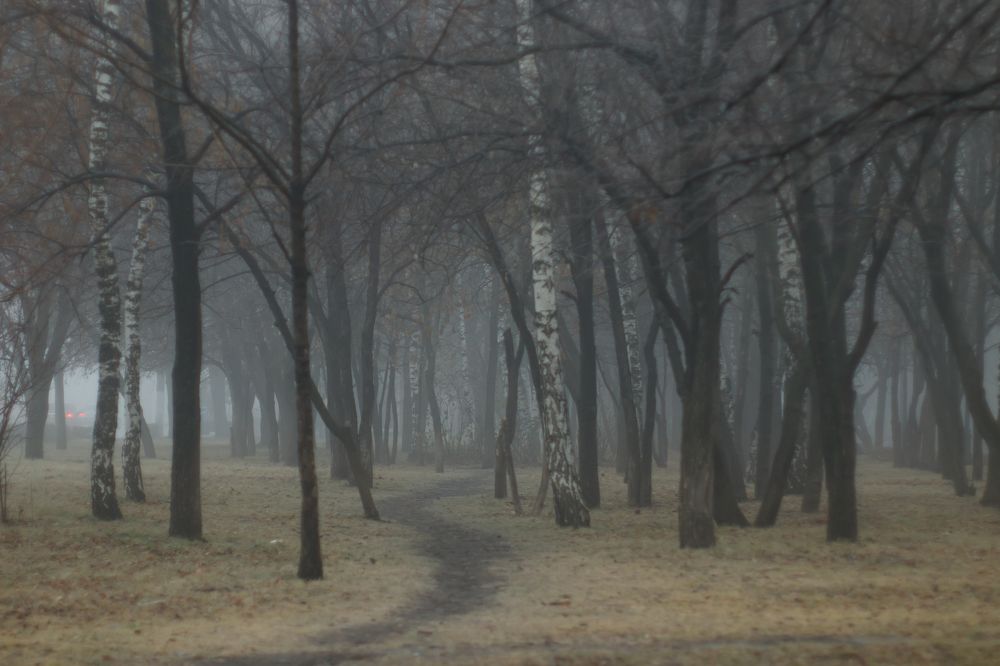 Photograph by Анна Вербилова